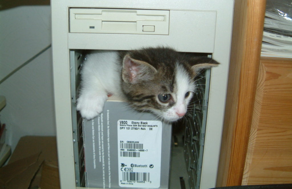 Fixing a Bug