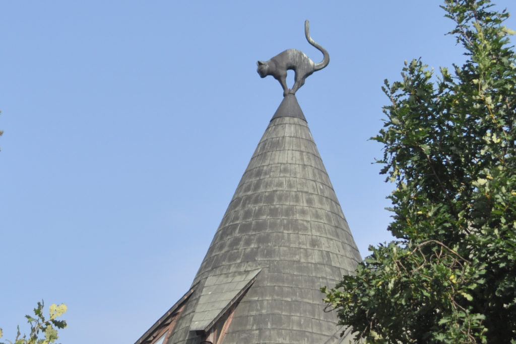 Riga Cat